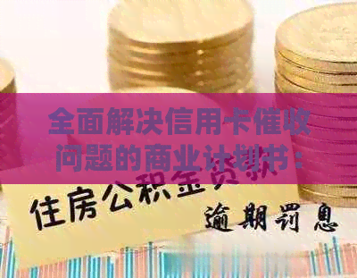 全面解决信用卡问题的商业计划书：详细策略与实步骤