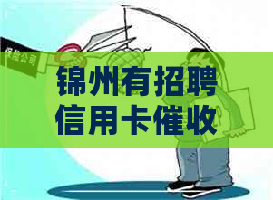 锦州有招聘信用卡吗
