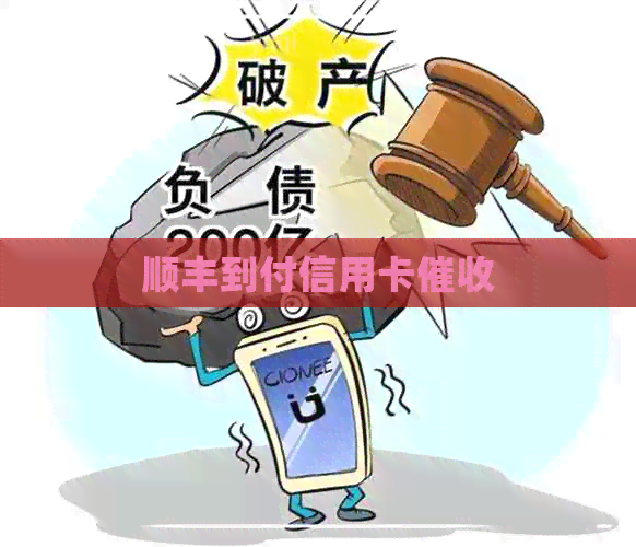 顺丰到付信用卡