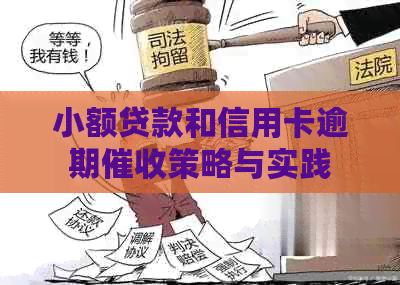小额贷款和信用卡逾期策略与实践