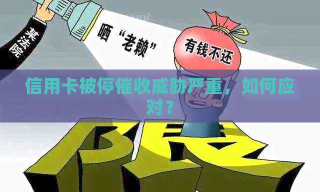 信用卡被停严重，如何应对？