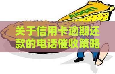 关于信用卡逾期还款的电话策略与实践