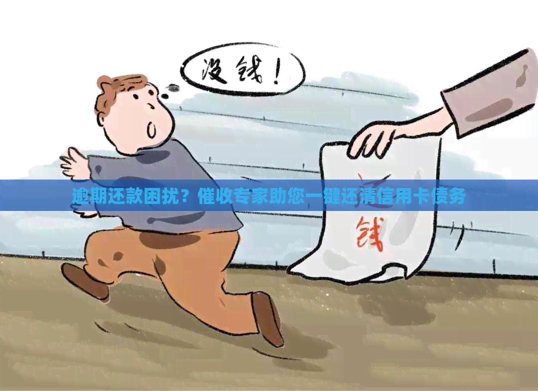 逾期还款困扰？专家助您一键还清信用卡债务