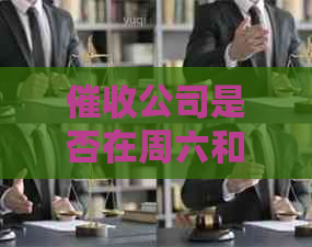 公司是否在周六和周日营业？周末是否提供服务？