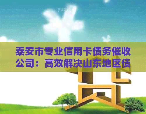 泰安市专业信用卡债务公司：高效解决山东地区债务问题