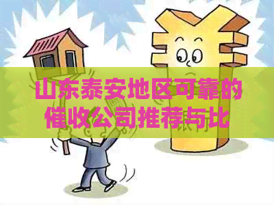 山东泰安地区可靠的公司推荐与比较：哪家公司的服务更优质？
