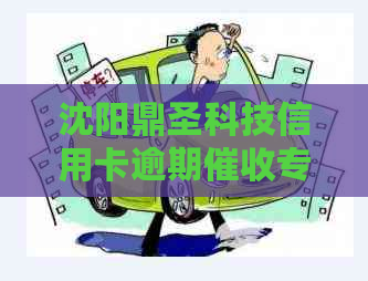 沈阳鼎圣科技信用卡逾期专员招聘