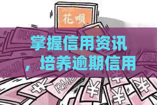 掌握信用资讯，培养逾期信用卡能力：成为高效员的关键素质