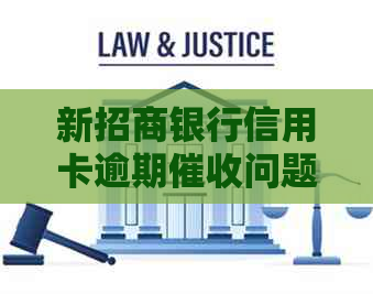 新招商银行信用卡逾期问题解决策略与建议