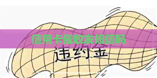 信用卡发短信吗