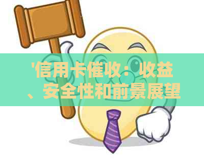'信用卡：收益、安全性和前景展望'