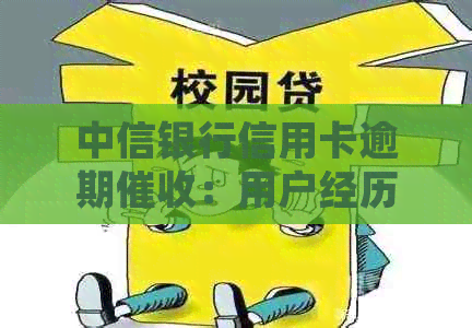 中信银行信用卡逾期：用户经历、应对策略及常见问题解答