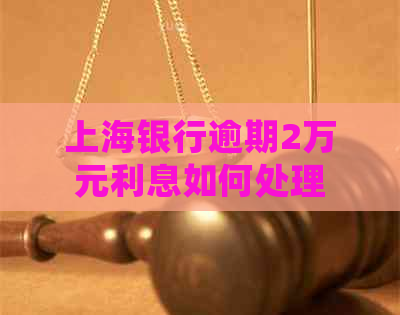 上海银行逾期2万元利息如何处理