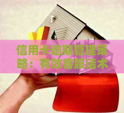 信用卡逾期管理策略：有效客服话术指南