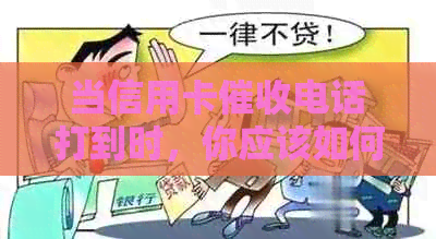 当信用卡电话打到时，你应该如何应对？