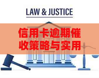 信用卡逾期策略与实用技巧：提高成功率的M2话术指南