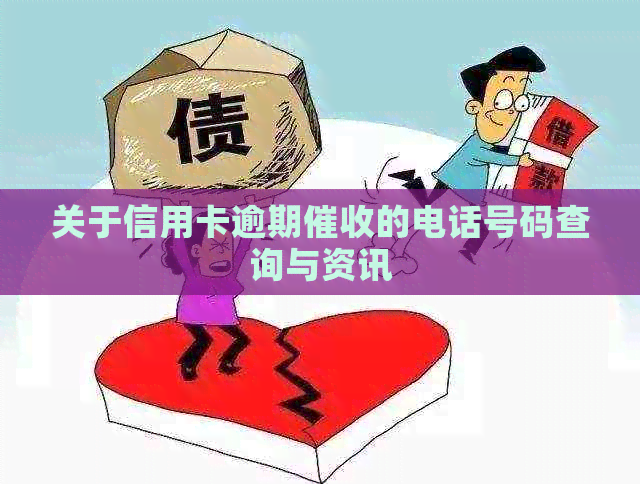关于信用卡逾期的电话号码查询与资讯