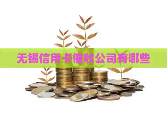 无锡信用卡公司有哪些