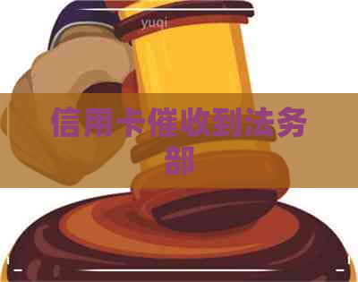 信用卡到法务部