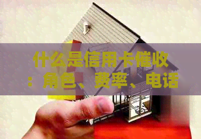 什么是信用卡：角色、费率、电话和公司的详解