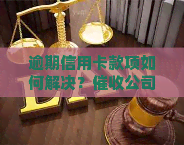 逾期信用卡款项如何解决？公司营业执照办理指南