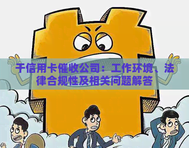 干信用卡公司：工作环境、法律合规性及相关问题解答