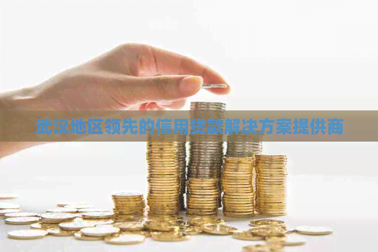 武汉地区领先的信用贷款解决方案提供商