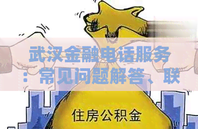 武汉金融电话服务：常见问题解答、联系方式及业务范围详解