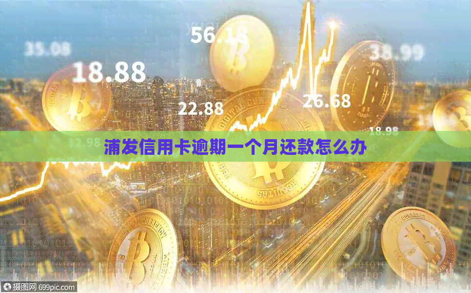 浦发信用卡逾期一个月还款怎么办