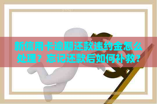 新信用卡逾期还款违约金怎么处理？忘记还款后如何补救？