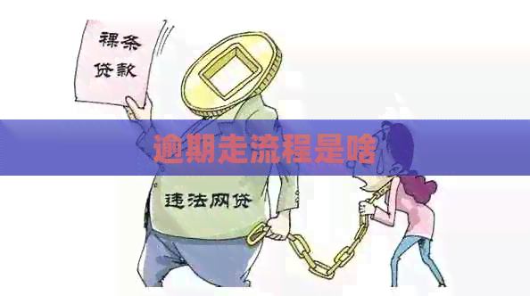 逾期走流程是啥