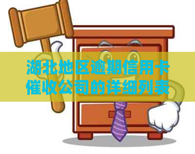 湖北地区逾期信用卡公司的详细列表与分析