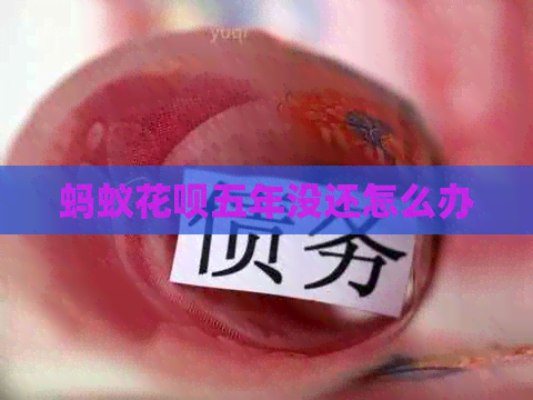 蚂蚁信用卡五年没还怎么办