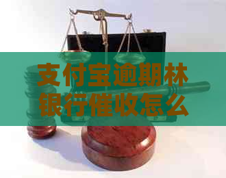 支付宝逾期林银行怎么办