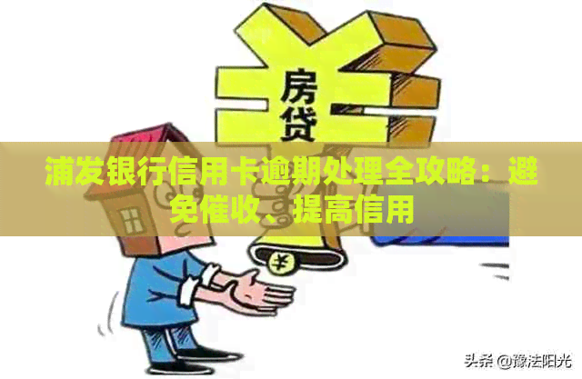 浦发银行信用卡逾期处理全攻略：避免、提高信用