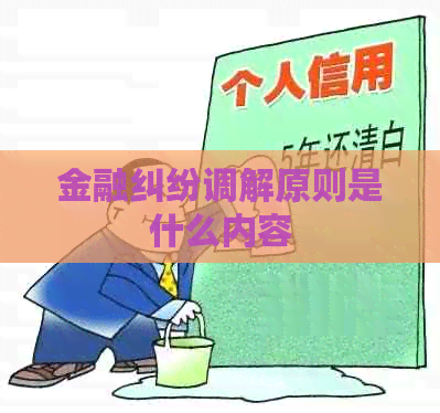 金融纠纷调解原则是什么内容