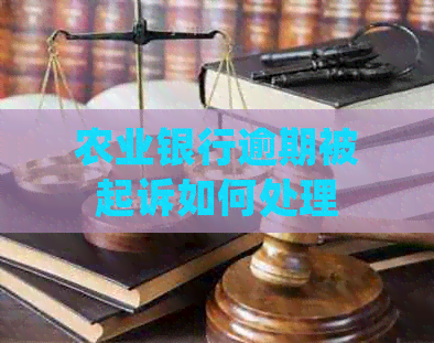 农业银行逾期被起诉如何处理