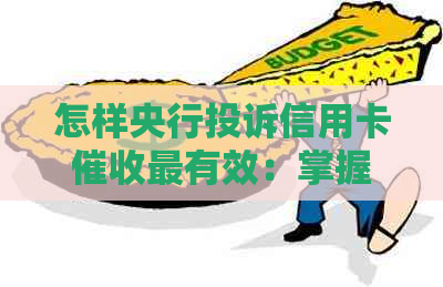 怎样央行投诉信用卡最有效：掌握5步，让你投诉有保障