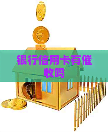 银行信用卡有吗