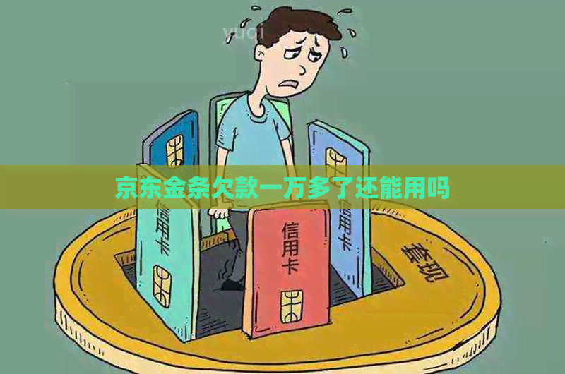 京东金条欠款一万多了还能用吗