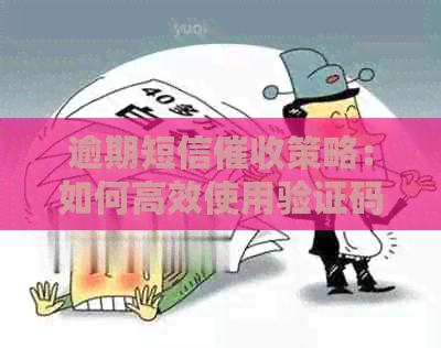 逾期短信策略：如何高效使用验证码进行提醒