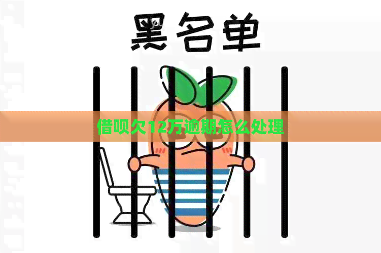 网贷欠12万逾期怎么处理