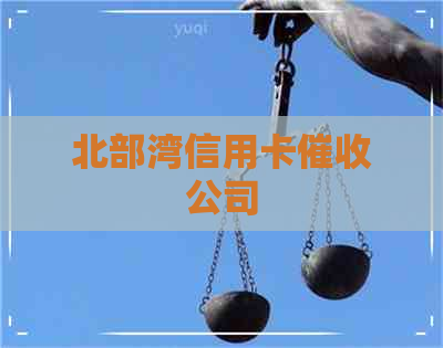 北部湾信用卡公司