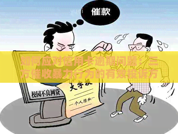 如何应对信用卡逾期问题：三方行为的有效投诉方法