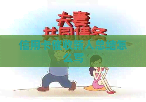 信用卡新人总结怎么写