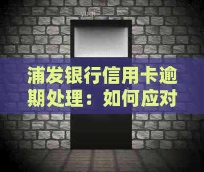 浦发银行信用卡逾期处理：如何应对和提高信用？