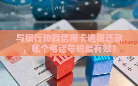 与银行协商信用卡逾期还款，哪个电话号码最有效？