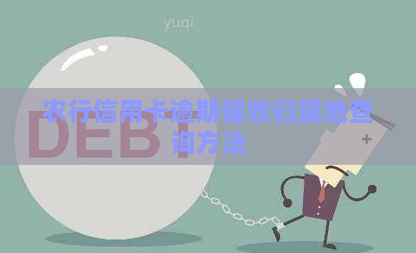 农行信用卡逾期归属地查询方法