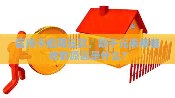 信用卡逾期还款，数千元未被的原因是什么？