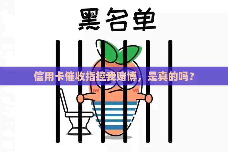 信用卡指控我博，是真的吗？
